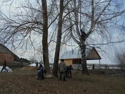 Погода в исаково 3