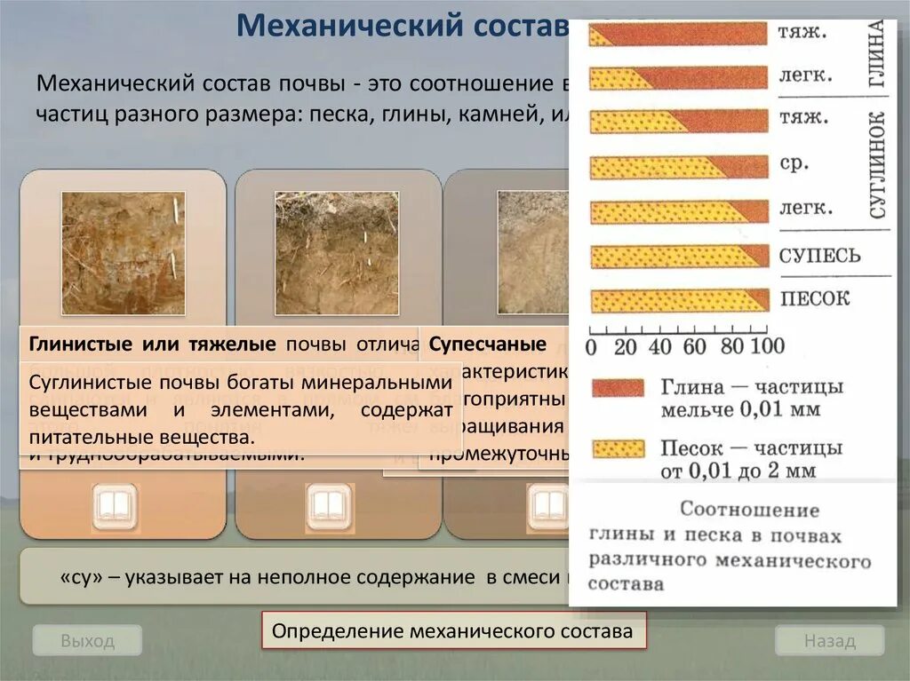 Механический состав почв - % соотношение песка и глины. Глинистая суглинистая супесчаная Песчаная. Состав почвы суглинок супесь. Механический состав песчаной почвы. Механический состав почвы восточно европейской равнины