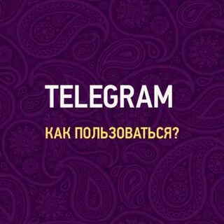 Телеграмм дениса