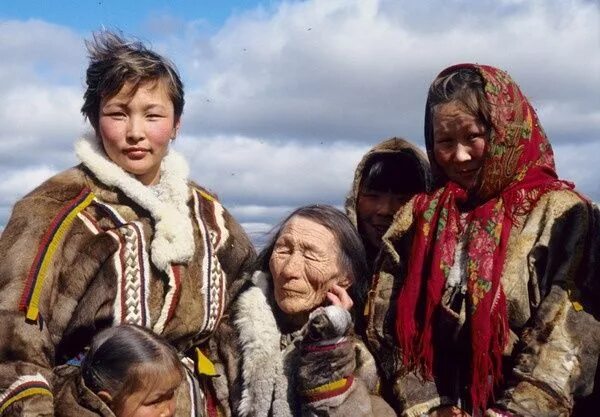 Ханты и ненцы. Ханты манси народ. Ненцы и чукчи. Селькупы остяки самоеды. Ненцы, эвенки, нганасаны, долганы.