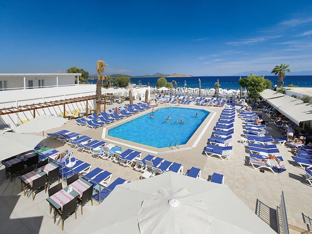 Петуния бич бодрум. Petunya beach resort 4 бодрум. Петуния отель в бодруме. Petunya beach resort 4 турция бодрум. Отель petunya beach resort 4*.