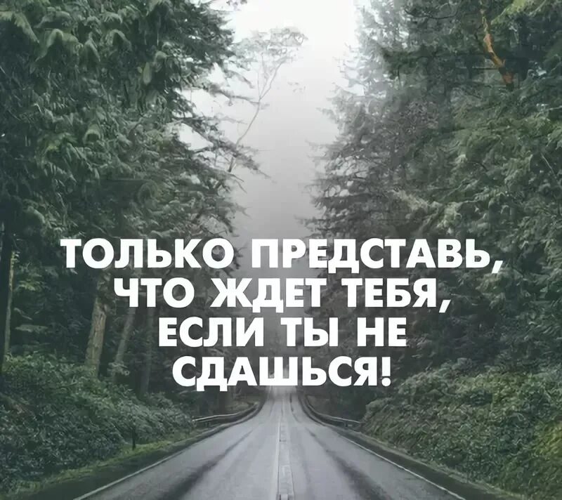 Мотивация прими решение. Мотивационные фразы. Мотивирующие цитаты. Мотивация к цели. Мотивационные картинки.