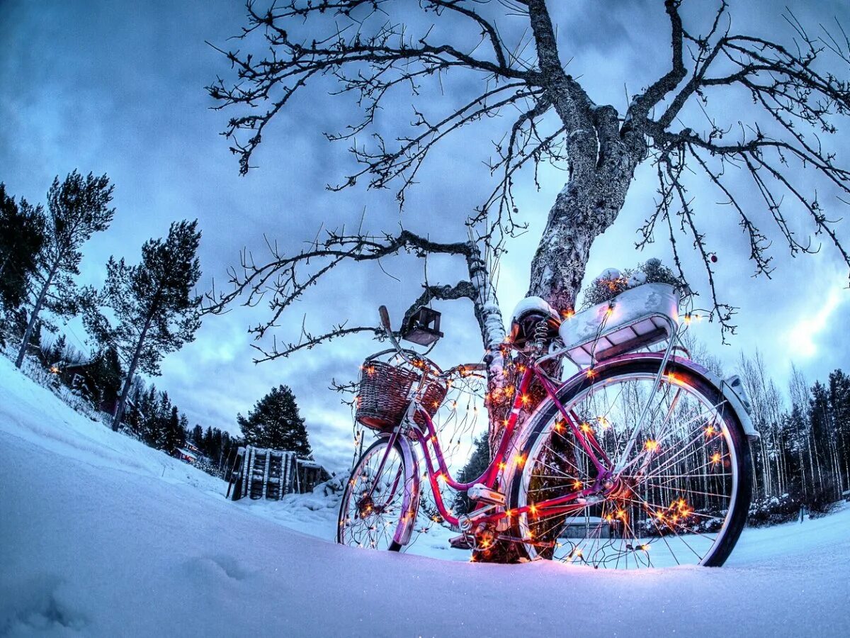 Santa Cruz Blur LT carbon Страница 17