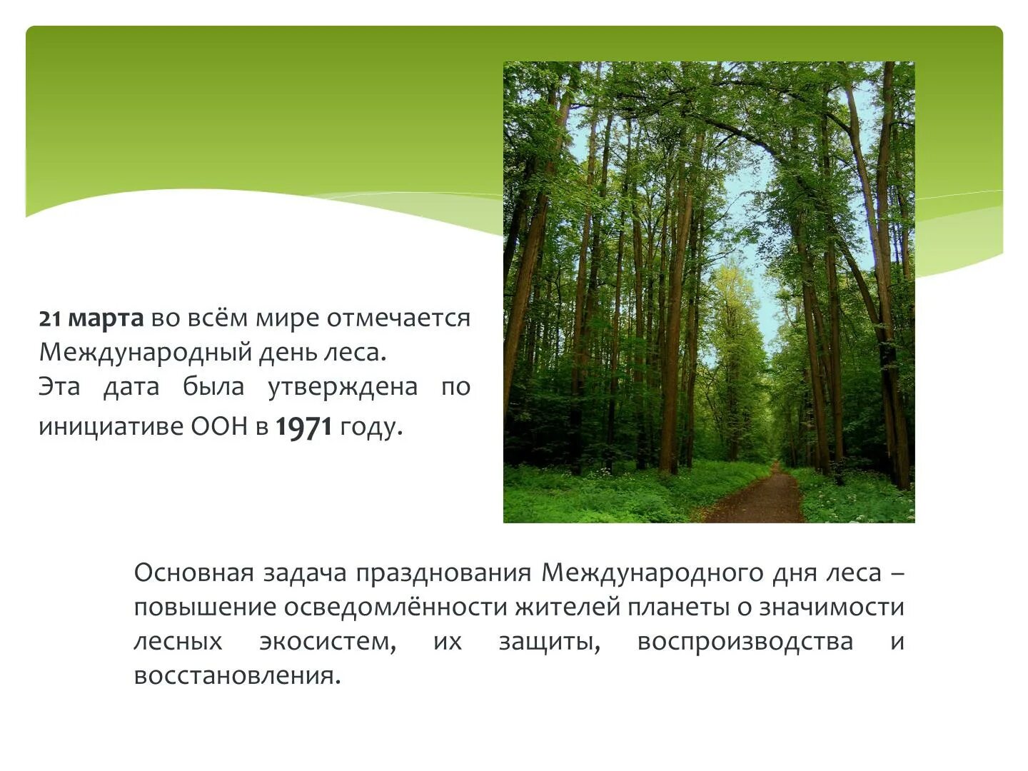 международный день леса презентация. международный день леса презентация. международный день леса презентация. 21 марта международный день лесов. всемирный день леса.