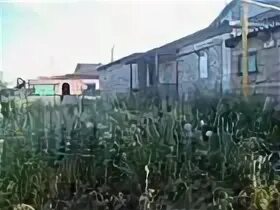 Кошки деревня самара. Погода в калашиновке. Погода калашиновка. Николаевка самарская обл. Самарская область село алексеевка лом 19.