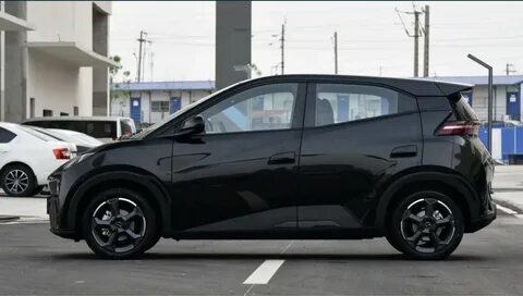 Byd seagull 2024