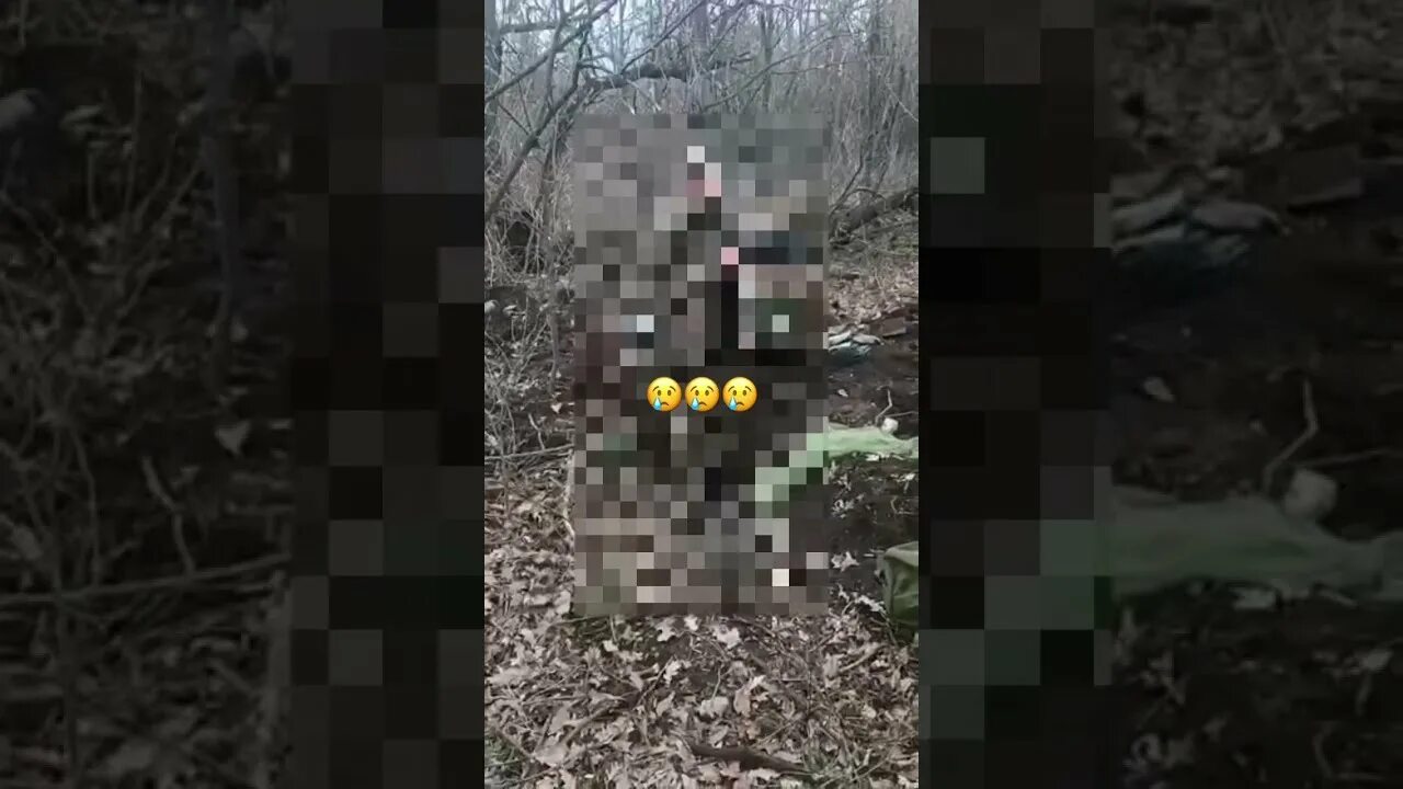 Русский солдат. Казнь пленных российских солдат. Украинские военные. Расстреляли украинского пленного. Расстрел российских военных.