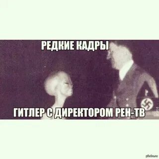 Директор рен