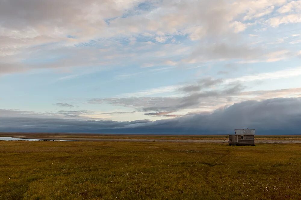 экспедиция на таймыр. таймыр 2022. мыс челюскин пограничная застава. мыс щербинина на таймыре. сахалин вечная мерзлота.
