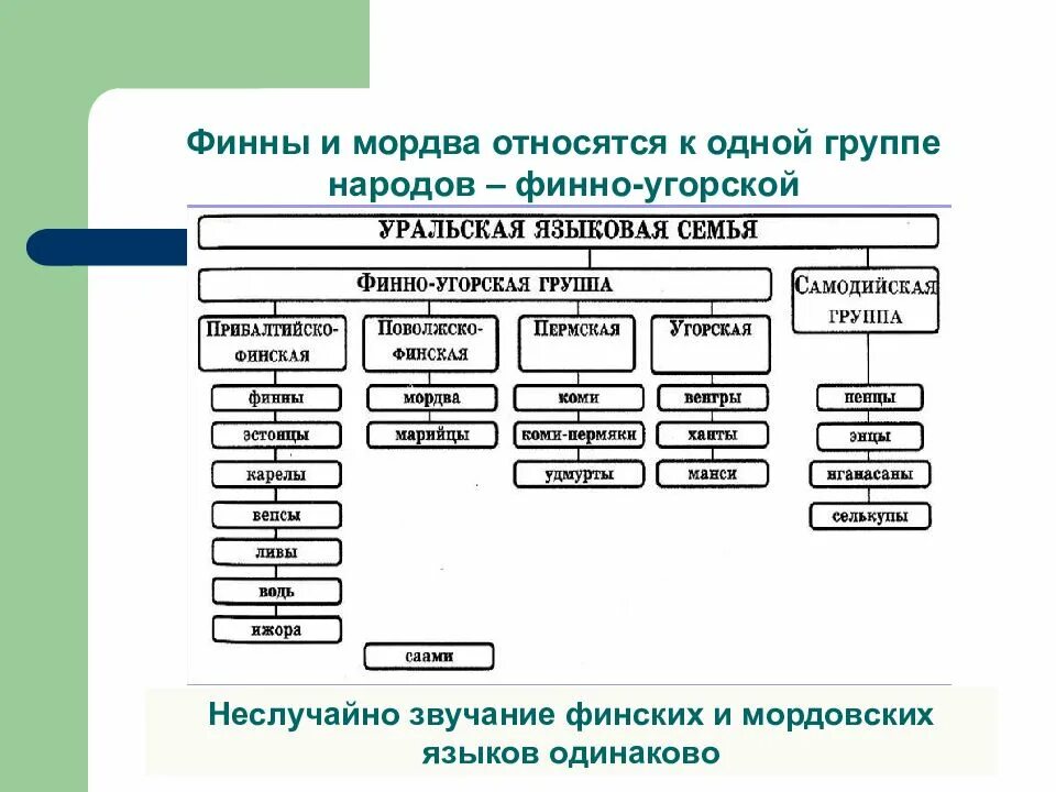 Какой из перечисленных народов относится. Уральская семья финно угорская группа народы. Уральская языковая семья финно-угорская группа. Народы относящиеся к финно-угорской группе в России. Схема финно-угорская семья народов.