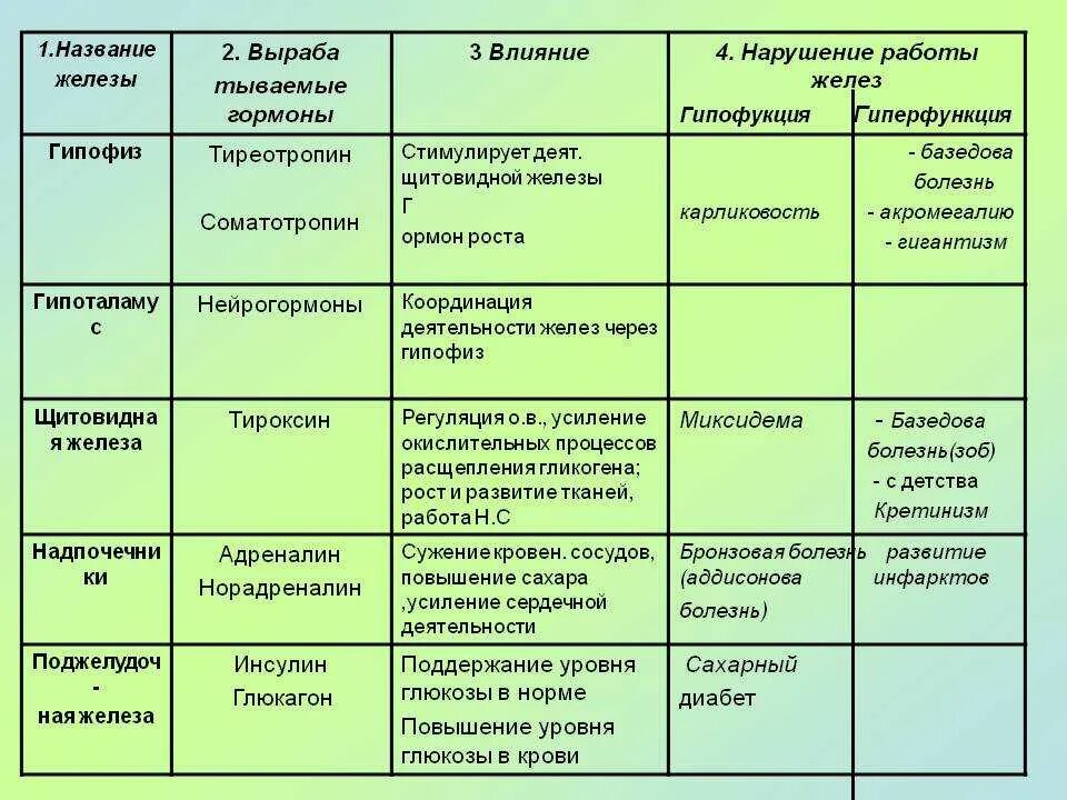 Раскройте роль гормонов в обмене веществ росте. Таблица жезовнутренней секреции. Таблица название желез гормоны функции. Функции желез внутренней секреции таблица гормоны. Название железы гормоны и действия гормонов.