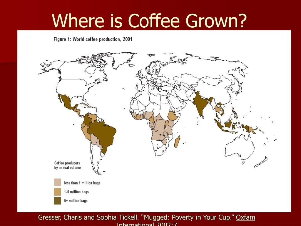 Coffee is grown