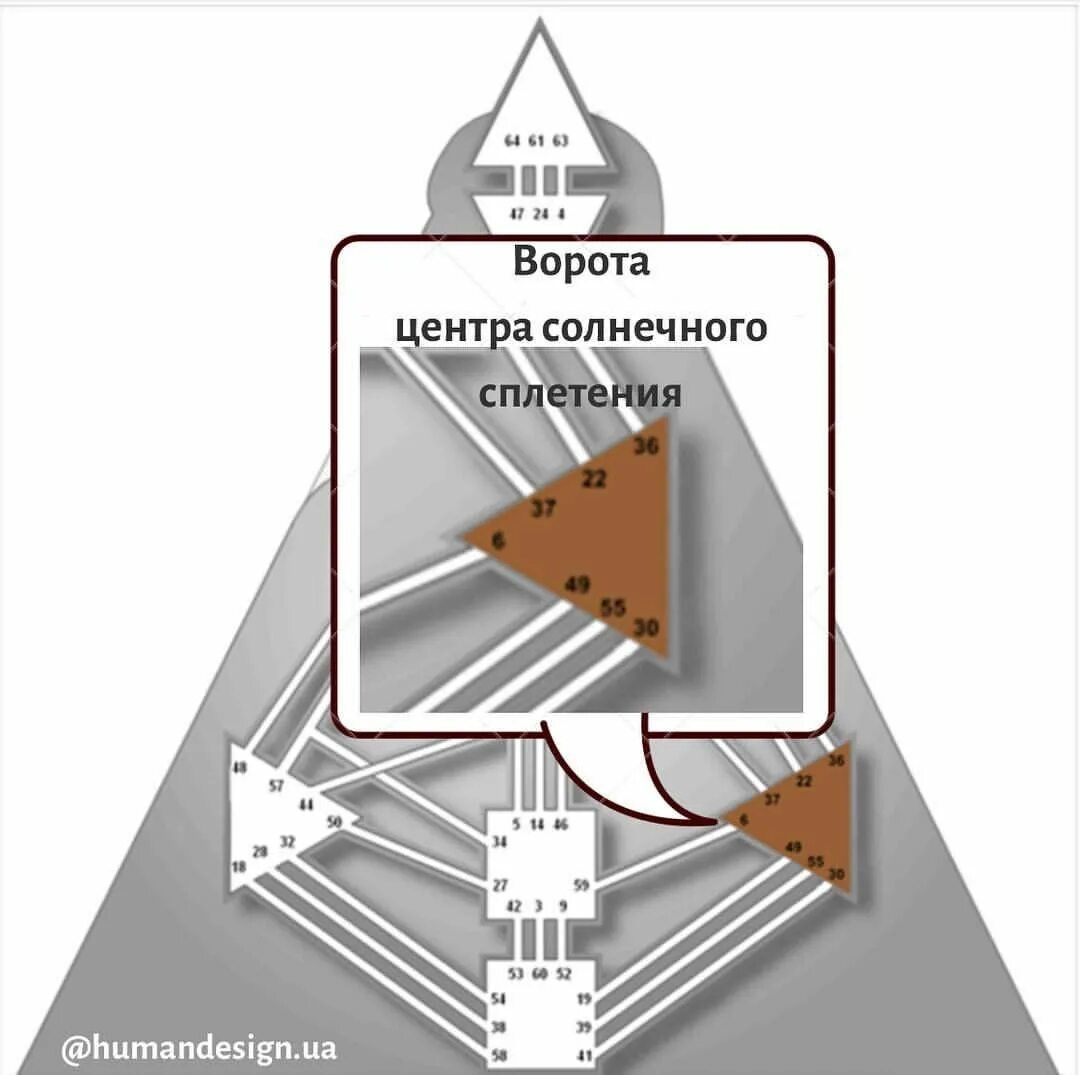 Центр солнечного сплетения в дизайне человека. Эмоциональный центр в дизайне человека. Центры в дизайне человека. Солнечное сплетение дизайн человека. Авторитеты в дизайне человека