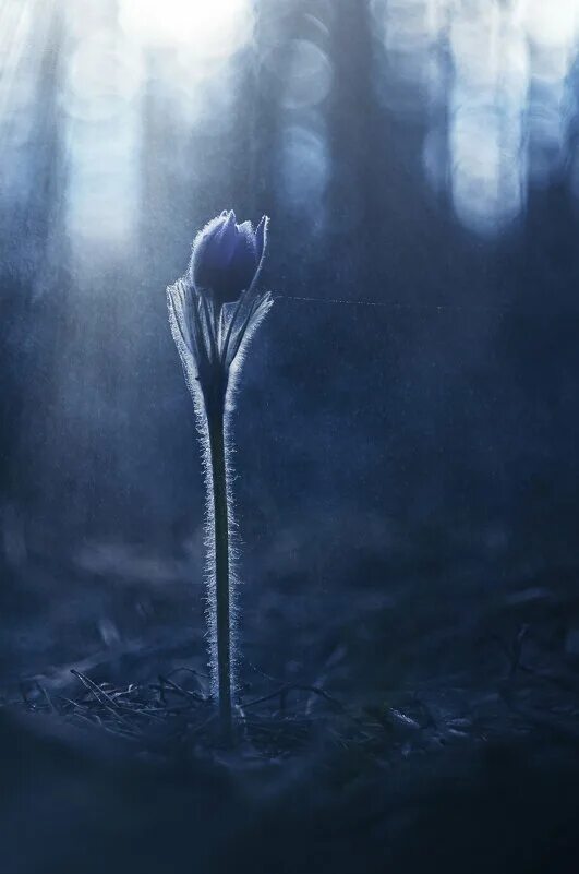 и пока на земле существуют мосты будут. там где заканчивается терпение. терпение заканчивается цитаты. там где кончается терпение начинается выносливость. там где кончается свет.