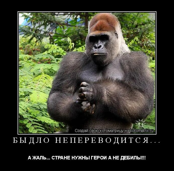 граффити казань на стенах. стране нужны герои. стране нужны герои. демотиваторы про дебилов. шутки про придурков.