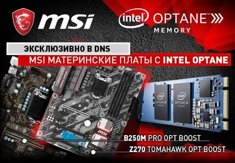Dns shop msi