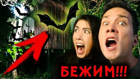 Алоэ алекс аморал