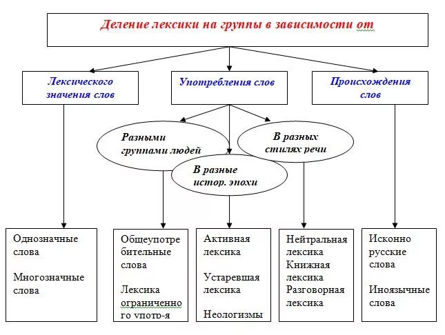 Системная лексика. Группы лексики в русском языке. Деление лексики русского языка на группы. Деление лексики на группы в зависимости от 4-х критериев. Лексика лексические группы.