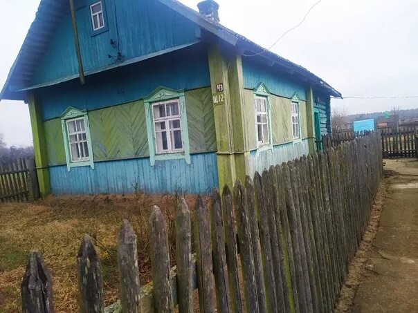 Деревня возле леса. Дом могилевское направление. Крапивня участок 477. Волма петровичского сельсовета. Недвижимость могилевские район.