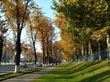 Какая погода в ташкенте в ноябре