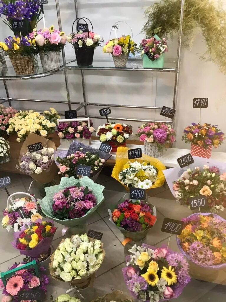 цветторг липецк каталог товаров. липецк проспект победы 21 цветторг. цветторг тамбов на чичканова. цветторг тольятти дзержинского 38. цветоптторг елец.