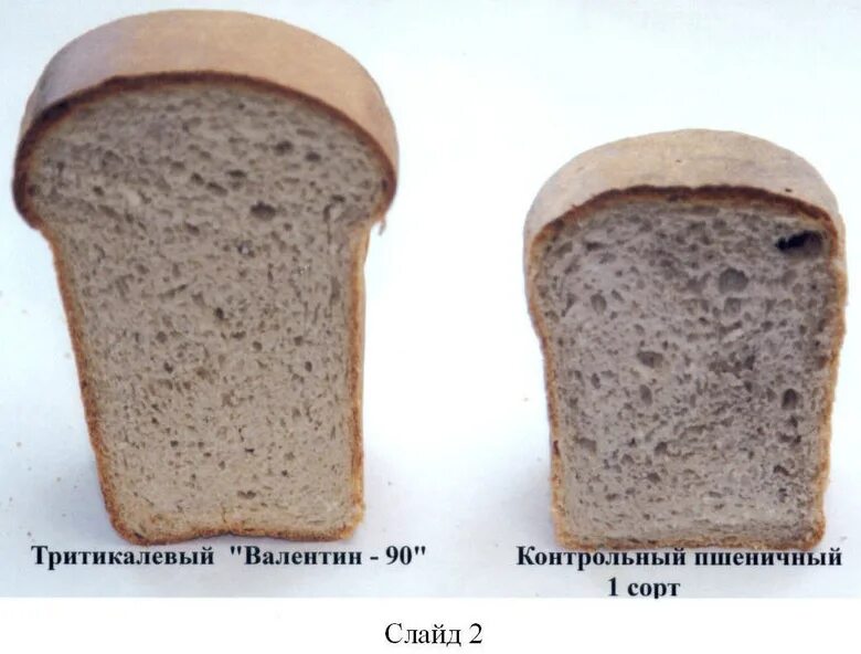 Сколько сухих дрожжей на 1 кг муки. Дрожжевой хлеб в разрезе. Хлебобулочные изделия в разрезе. Белый хлеб в разрезе. Соотношение муки и дрожжей для хлеба.