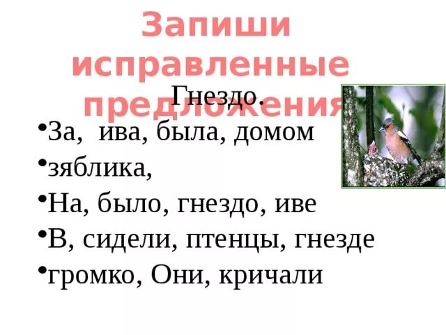 Гнездо текст 1 класс. Предложение про гнездо. Придумать предложения про гнездышко. Предложение со словами гнездо.