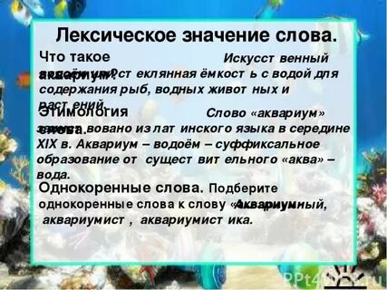 Вода лексическое значение 3 класс