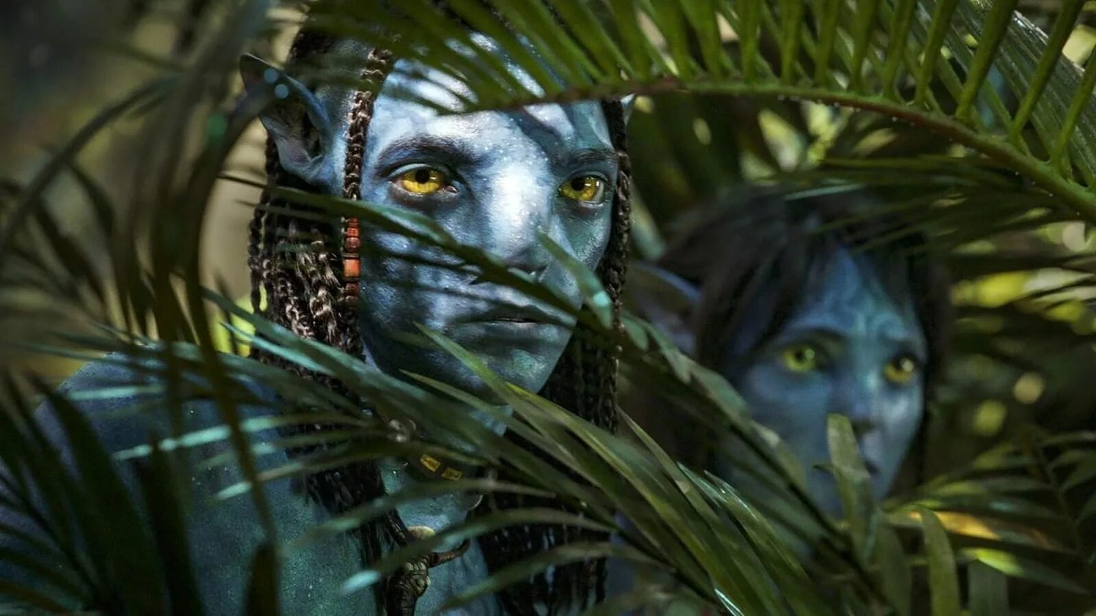 Avatar world 2024 год. Аватар: путь воды (2022) (avatar: the way of Water) кадры. Аватар 2. Аватар 2 путь воды 2022.