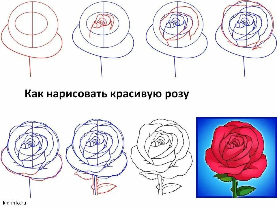 Схема рисования розы карандашом. Рисунок розы по этапно. Рисуем розы. Пошаговое рисование розы. Поэтапное рисование розы карандашом.