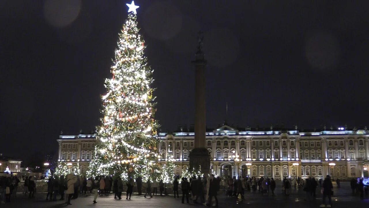 Елка на дворцовой площади 2021. Елка питер дворцовая площадь 2021. Елка на дворцовой площади 2021. Новый год в питере. 2016 год санкт петербург дворцовая площадь.