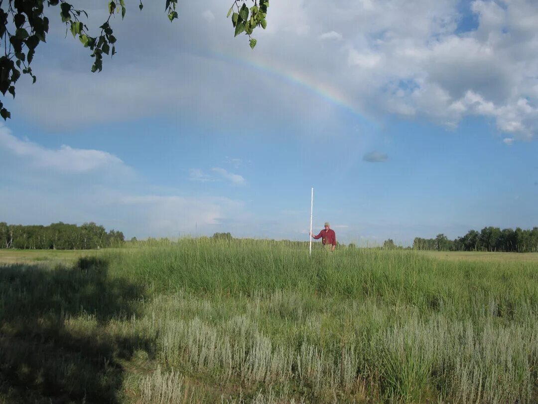 Хабарский район село Новоильинка. Село Новоильинка Алтайский край. Мартовка Алтайский край Хабарский район. Ильинка Алтайский край Хабарский район. Погода ильинка алтайский край