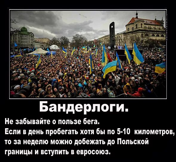 Что такое майдан значение слова. Майдан демотиваторы. Демотиваторы про Евросоюз.