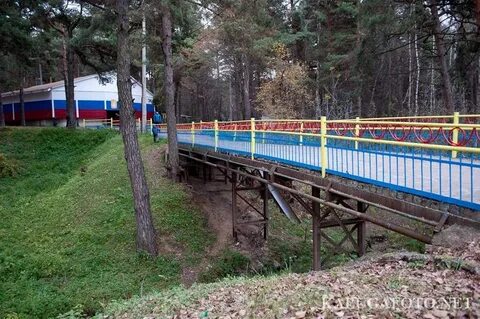 Алексин нутова
