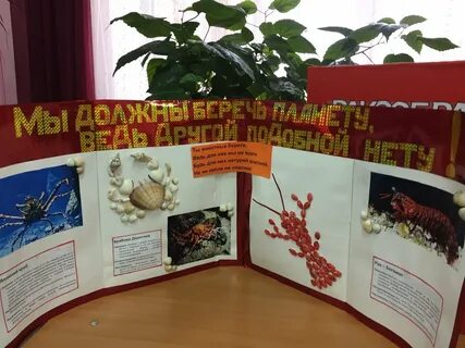 Конкурсы красная книга