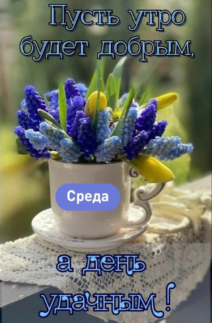 С новым добрым утром картинки весенние. Доброе весеннее утро. доброе утро с весенними цветами. доброе весеннее утро красивые. открытки доброе утро весенние.