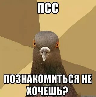 Знакомая не смотрит на меня