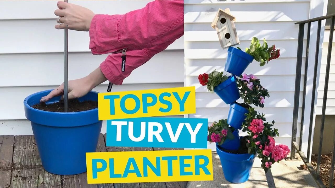 Topsy turvy. Топси турви. Топси турви голубая. Садик с Топси турви. De uanstændige / Topsy Turvy.