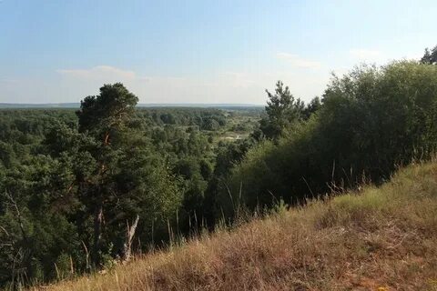 Решетиха нижегородская область