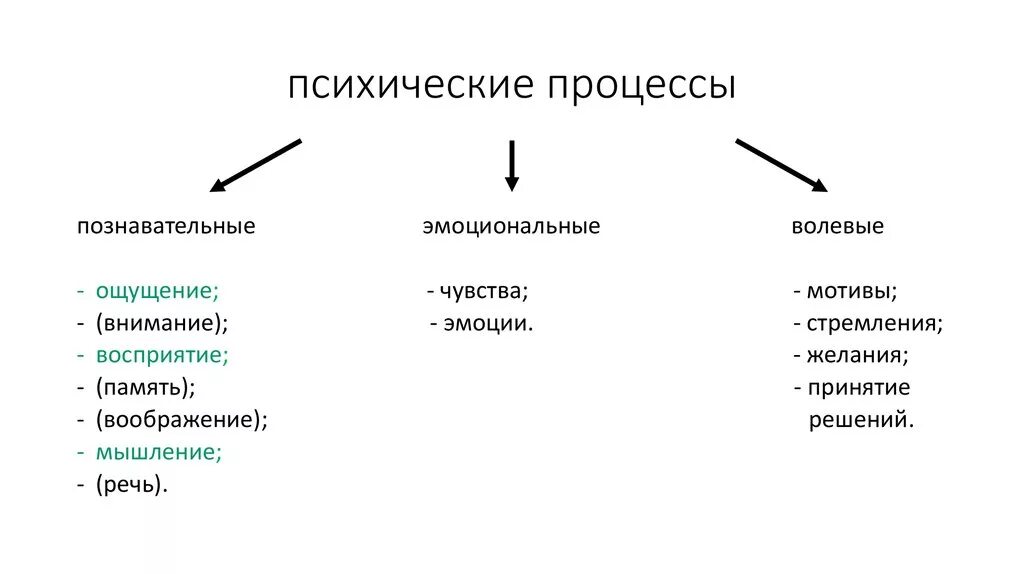 Психические процессы кратко. Психические процессы в психологии. Психологические процессы примеры. Перечислите Познавательные процессы психики. Основные психологические Познавательные процессы.