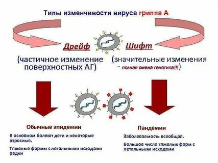 Грипп 1 типа