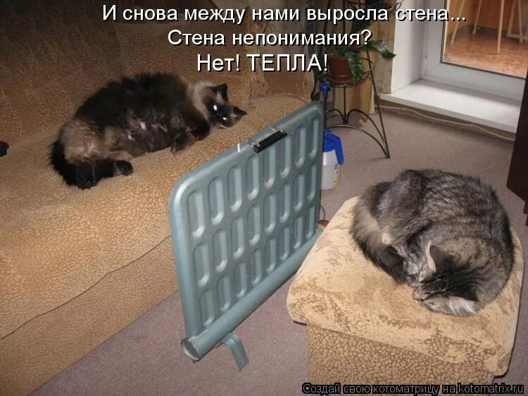 между нами выросла стена песня. между нами города. стена между нами картинки. леди баг и супер кот и лу и ленни ким. между нами выросла стена.