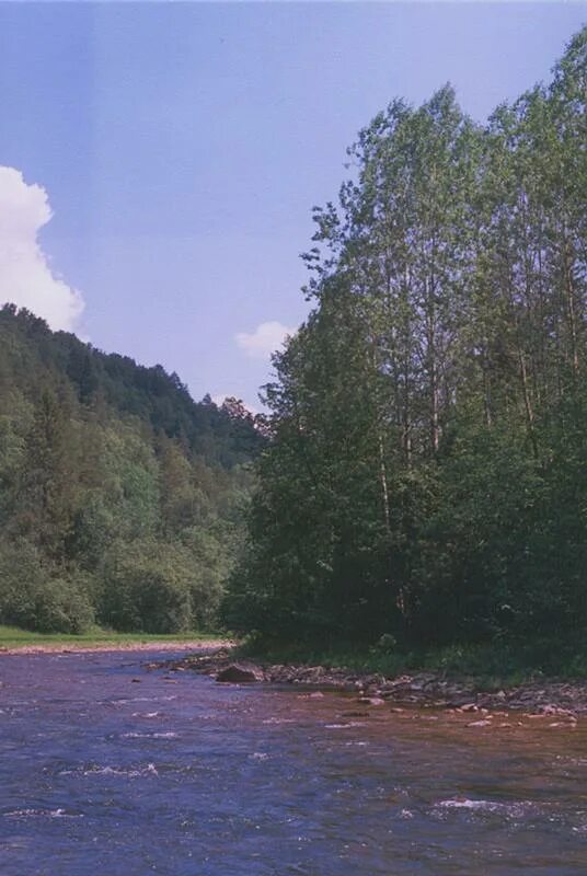 Эх река река. Река Туолба в Якутии. Красный Урюш Караидельский. Речка Ах. Ах река река родная утонуло небо.