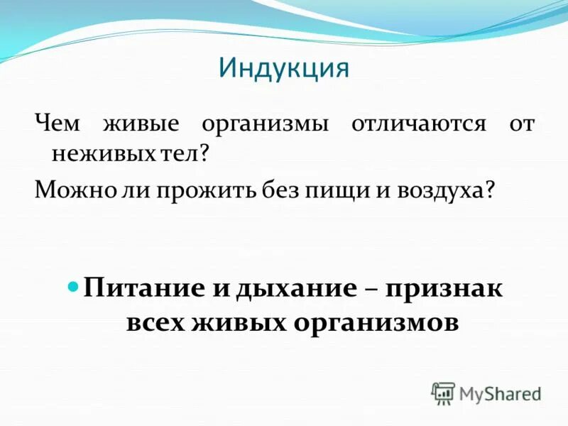 Чем живые организмы отличаются от неживых