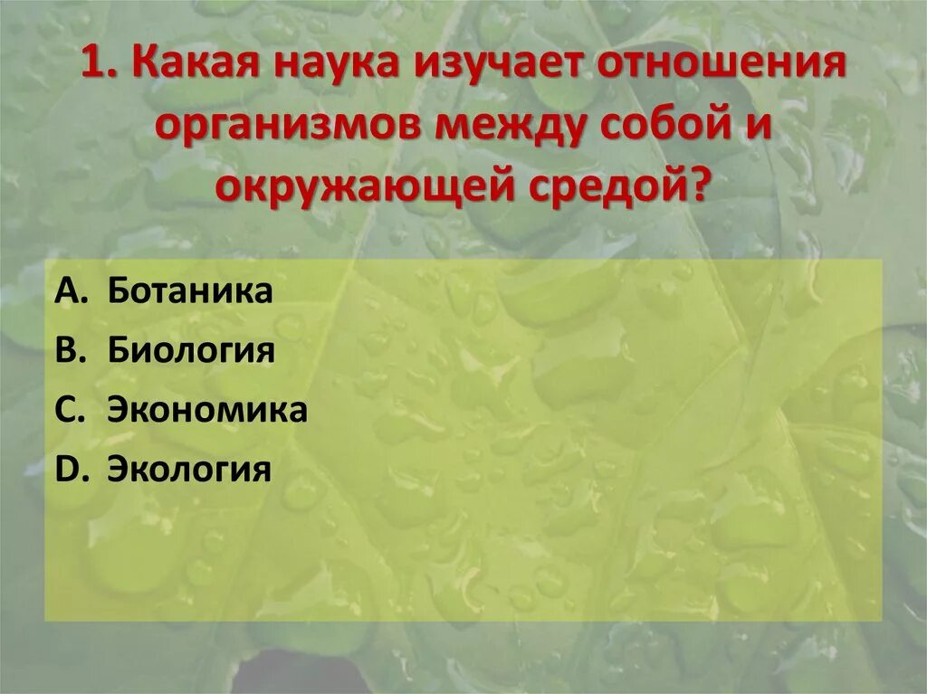 Экология отношения организмов между собой и окружающей средой. Отношения между организмами и окружающей средой. Наука изучающая взаимодействие организмов с окружающей средой. Экология наука о взаимоотношениях организмов.