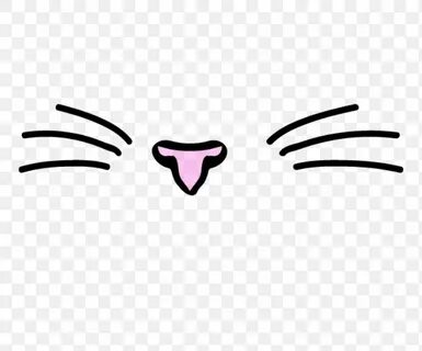 Нос рот кота