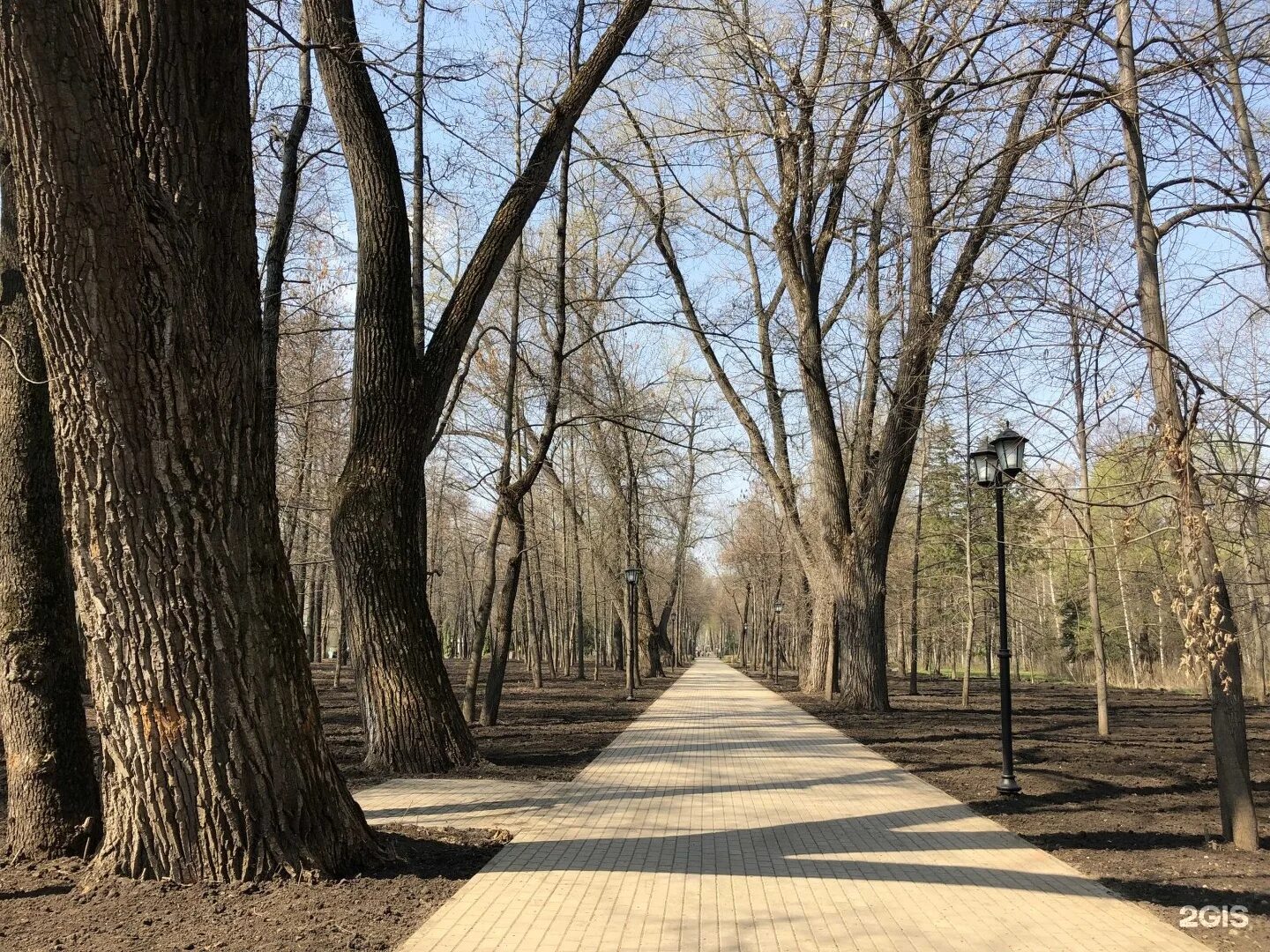 Город чаплыгин нижний парк. Парк м2 липецк. Набережная города липецка. Каскад фонтанов липецк. Комсомольский пруд липецк.