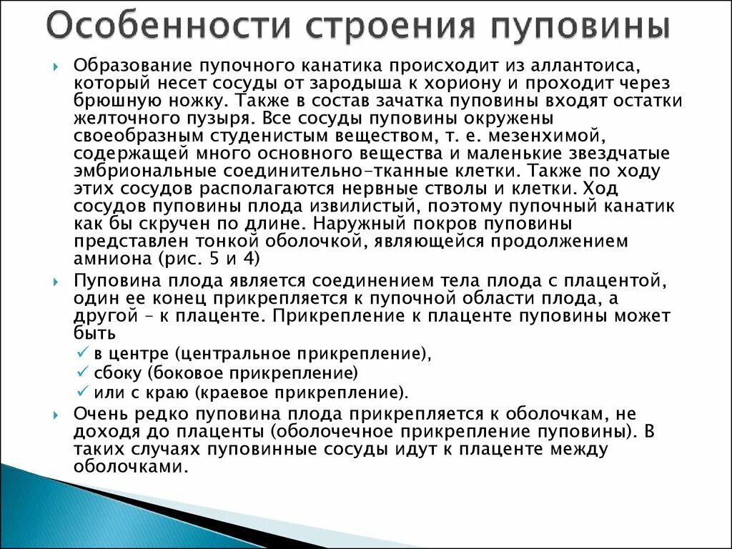 Строение дистального и проксимального отдела пуповины. Пупочный канатик функции.