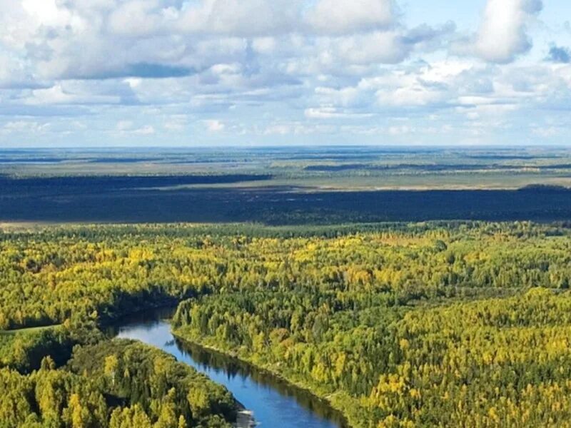 Западная Сибирь ХМАО. Западная Сибирь природа. Западная Сибирь красивые места. Заповедники Западной Сибири.