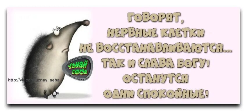 На эту тему портит нервную систему. Статус про нервную систему. шутки про нервных. прикольные высказывания про нервы. нервная система смешные картинки.